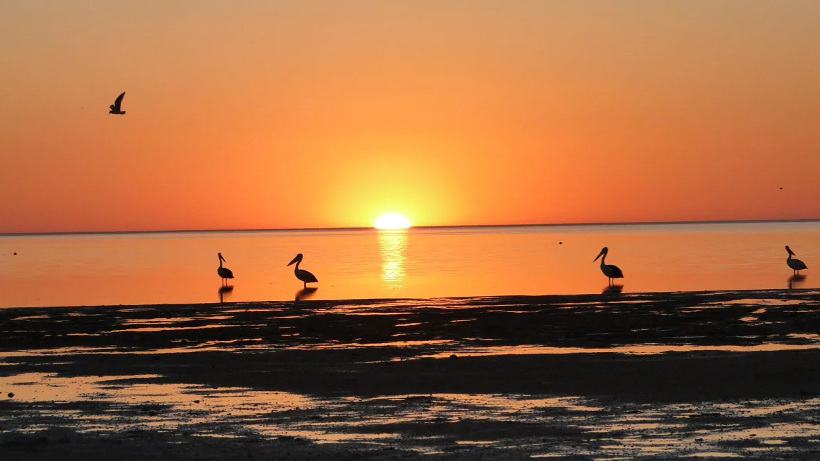 1725 Chinaman Wells Road, Chinaman Wells SA 5573