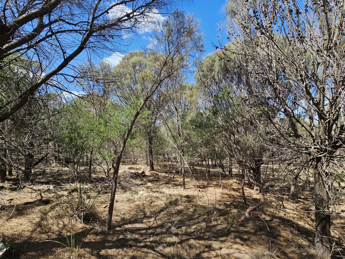 Additional image 8 of 3/5 Addison Street, Swansea TAS 7190