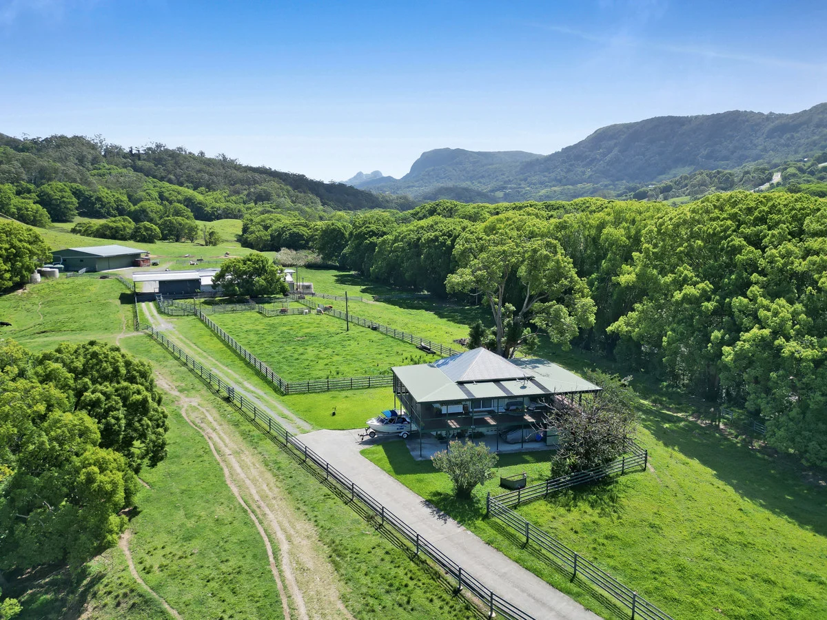 Additional image 8 of 1039 Currumbin Creek Road, Currumbin Valley QLD 4223