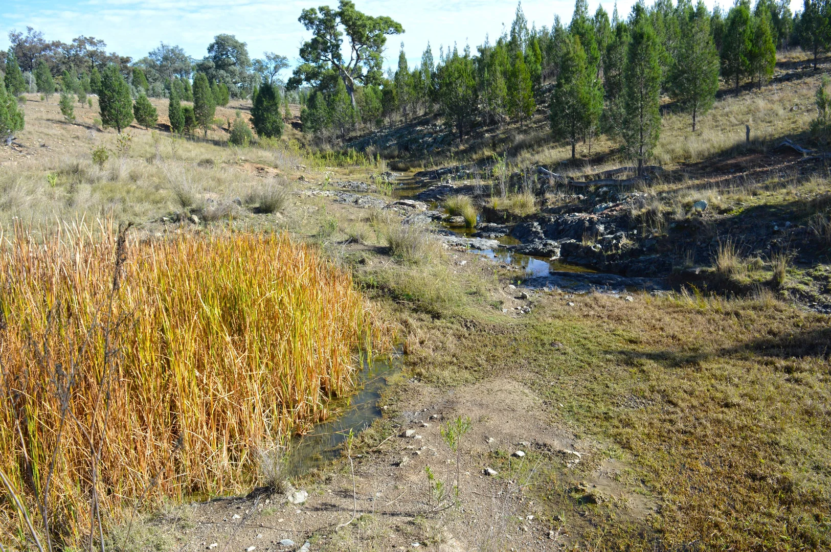 Additional image 9 of Hollybank Road, Inglewood QLD 4387