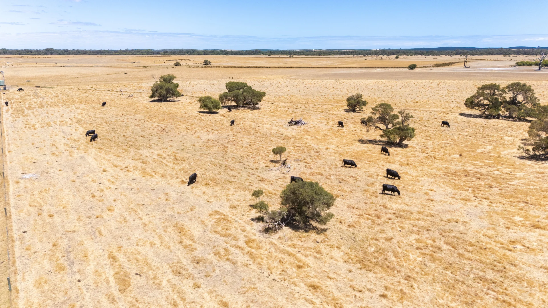 Additional image 15 of 1081 Buller Road, Waroona WA 6215