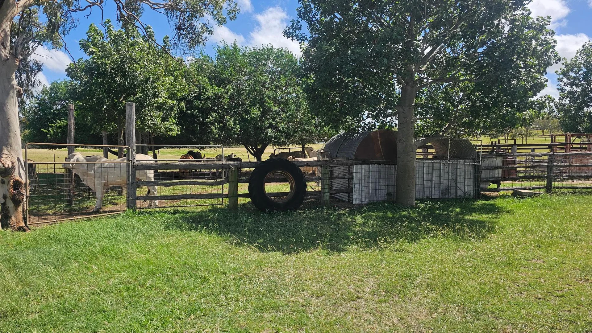 Additional image 27 of 58 Kabralea Road, Kabra QLD 4702