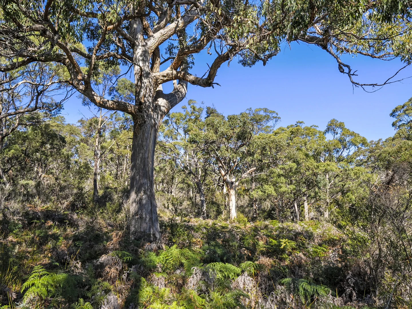 Additional image 21 of 1, 1, 2 Sympathy Point Road, Taranna TAS 7180