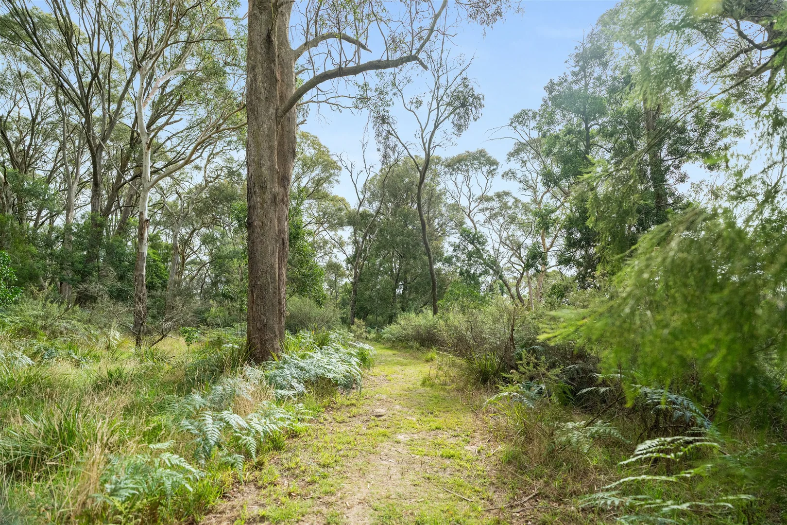 Additional image 21 of 26 Wilkinson Street, Berrima NSW 2577