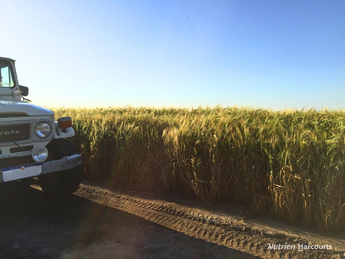 "Spion Kop" Huadanning Road, South Trayning WA 6488