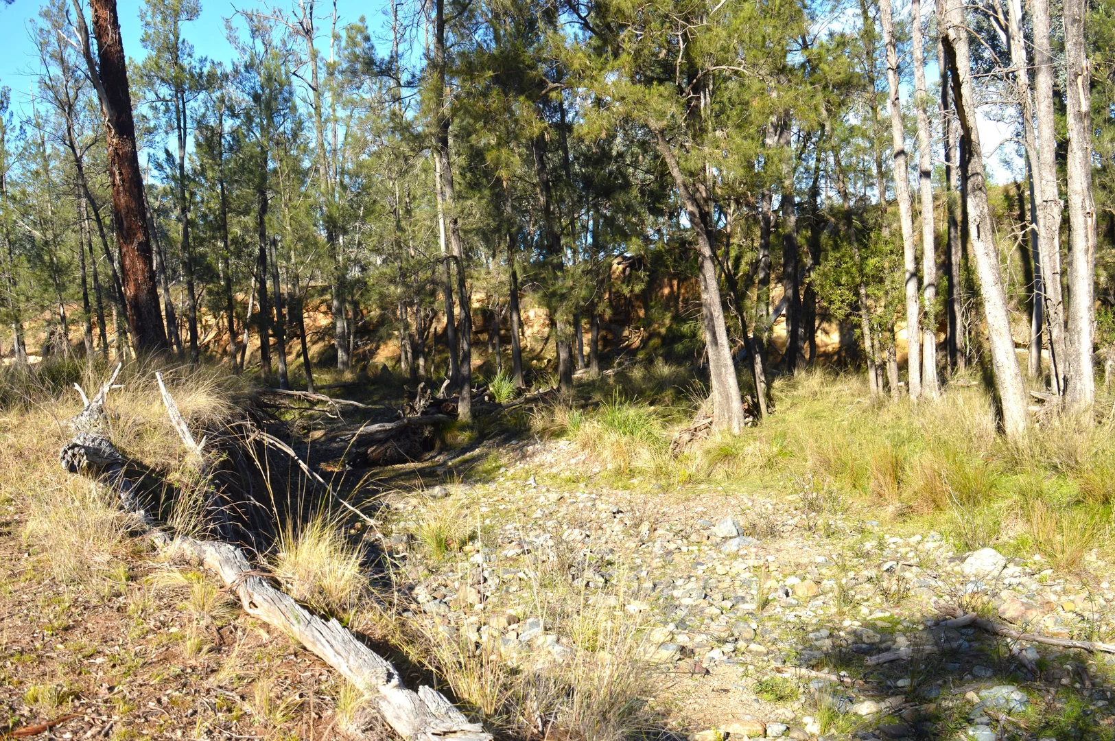 Additional image 7 of Hollybank Road, Inglewood QLD 4387