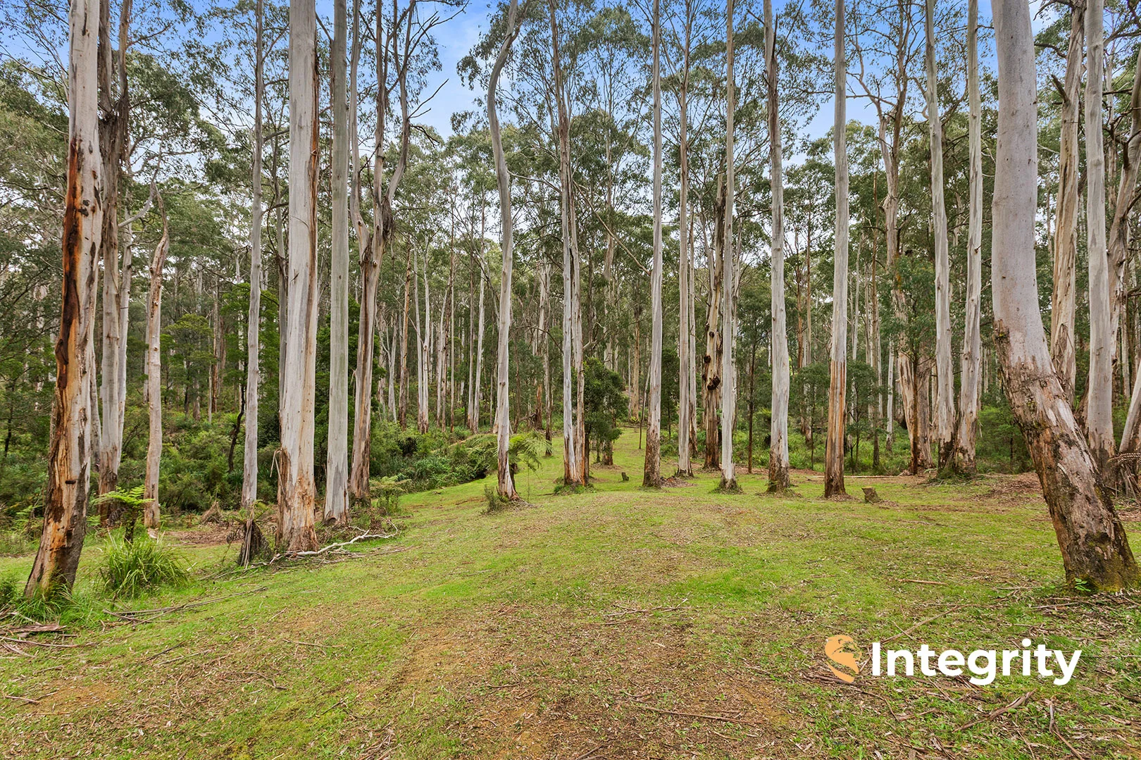 Additional image 26 of 30 Telford Road, Narbethong VIC 3778