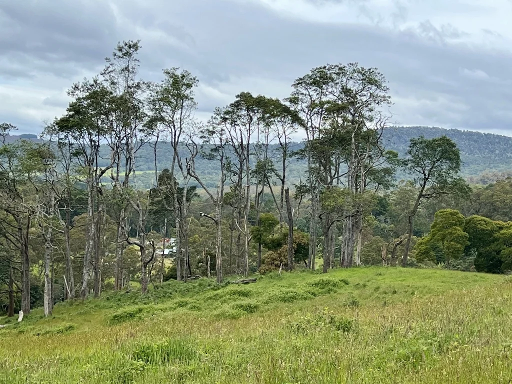 Additional image 6 of Lot 2/Part of 116680 Tasman Highway, Weldborough TAS 7264