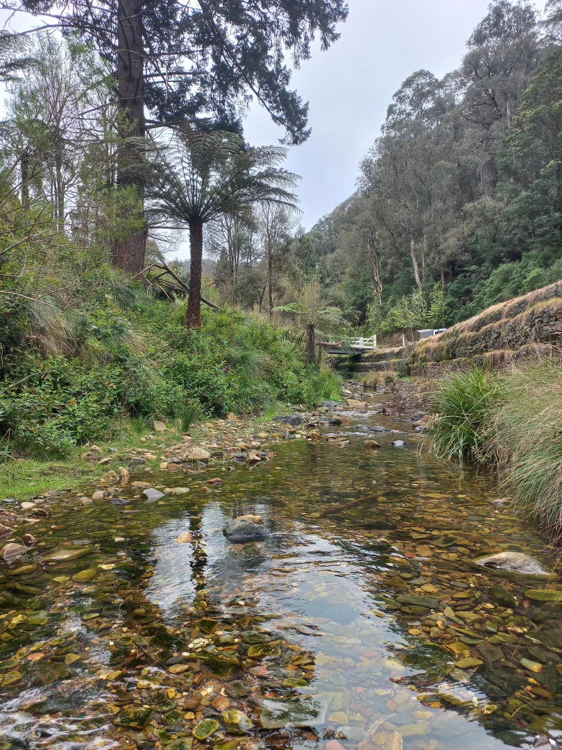 Additional image 6 of 181 Main Road, Walhalla VIC 3825