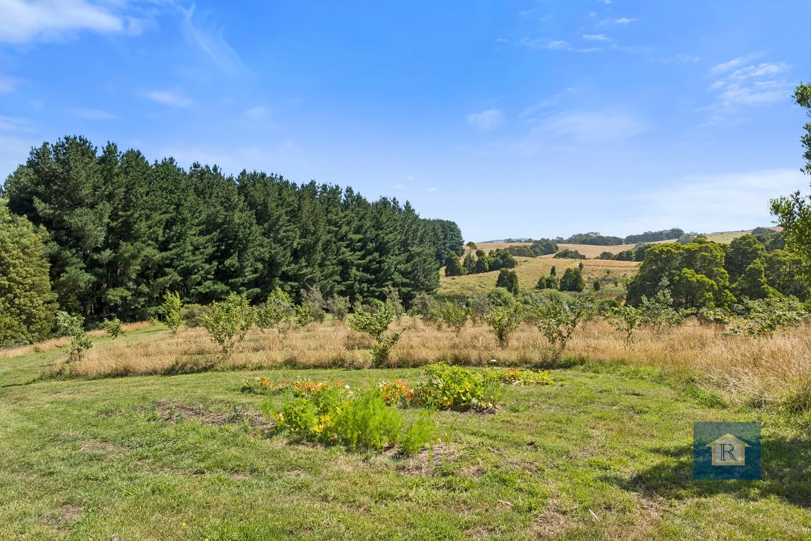 Additional image 22 of 22 Old Main Road, Beech Forest VIC 3237