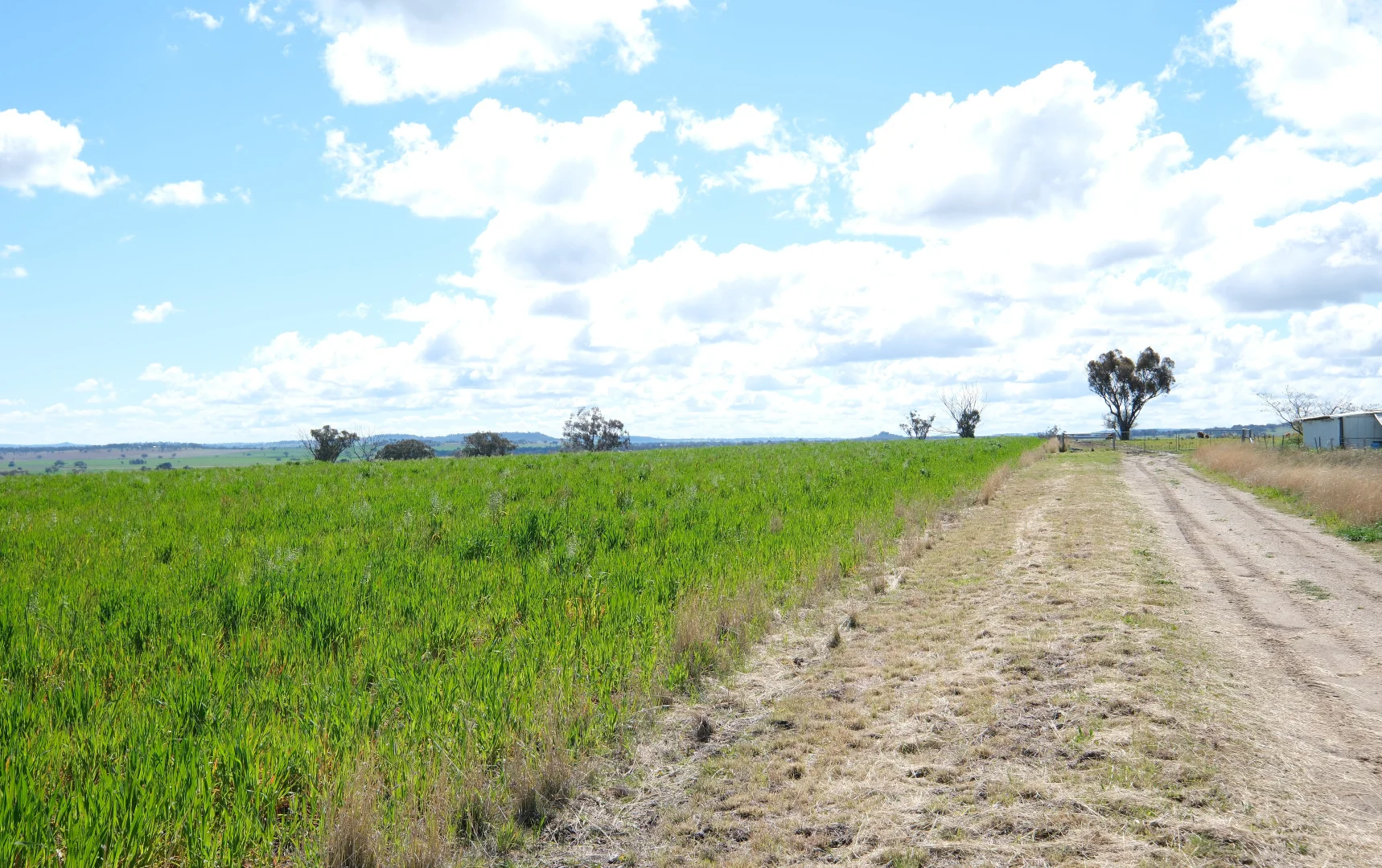 Additional image 10 of 154 Delungra Bypass Road, Inverell NSW 2360