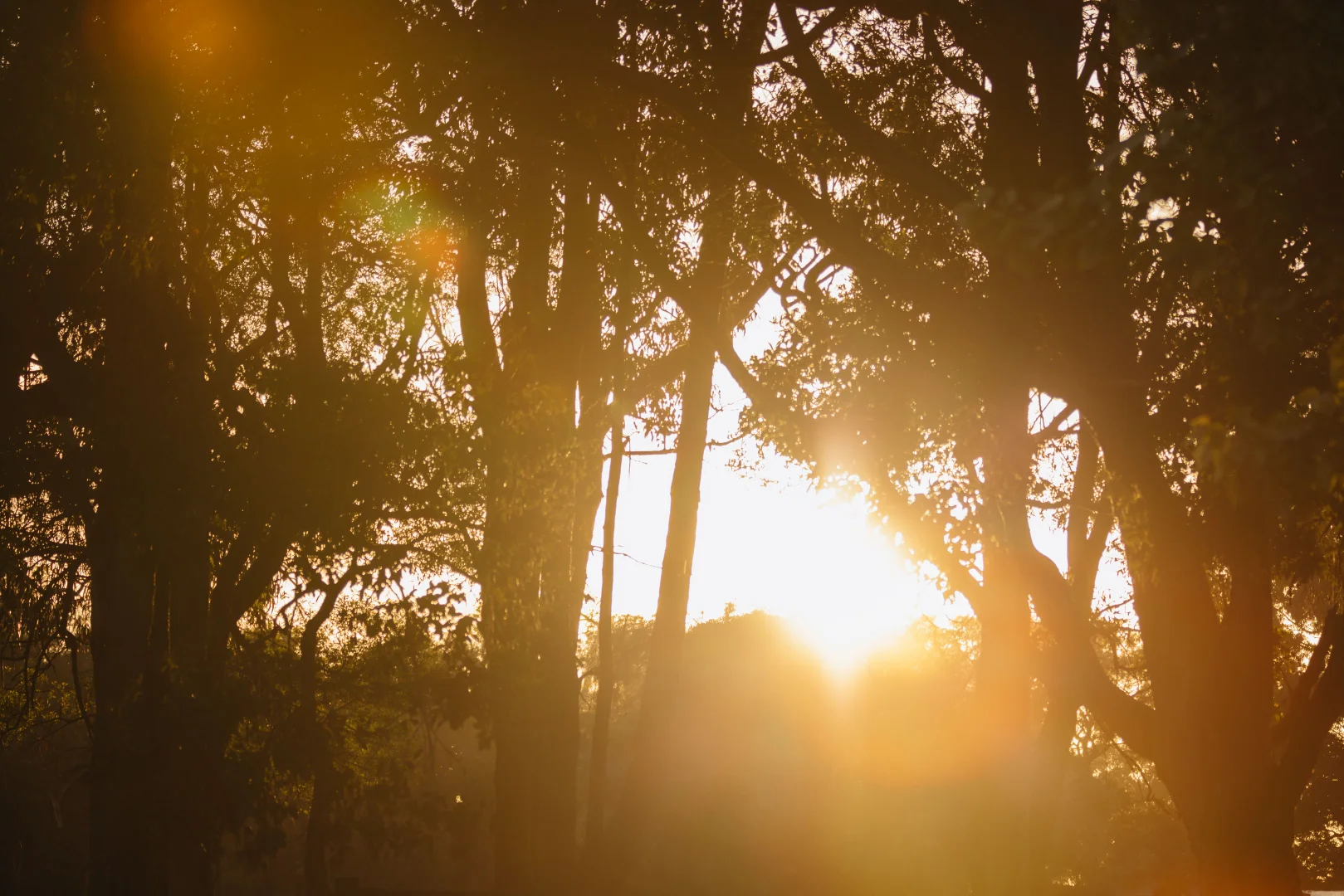 Additional image 18 of Springfield Farm, Yallingup WA 6282