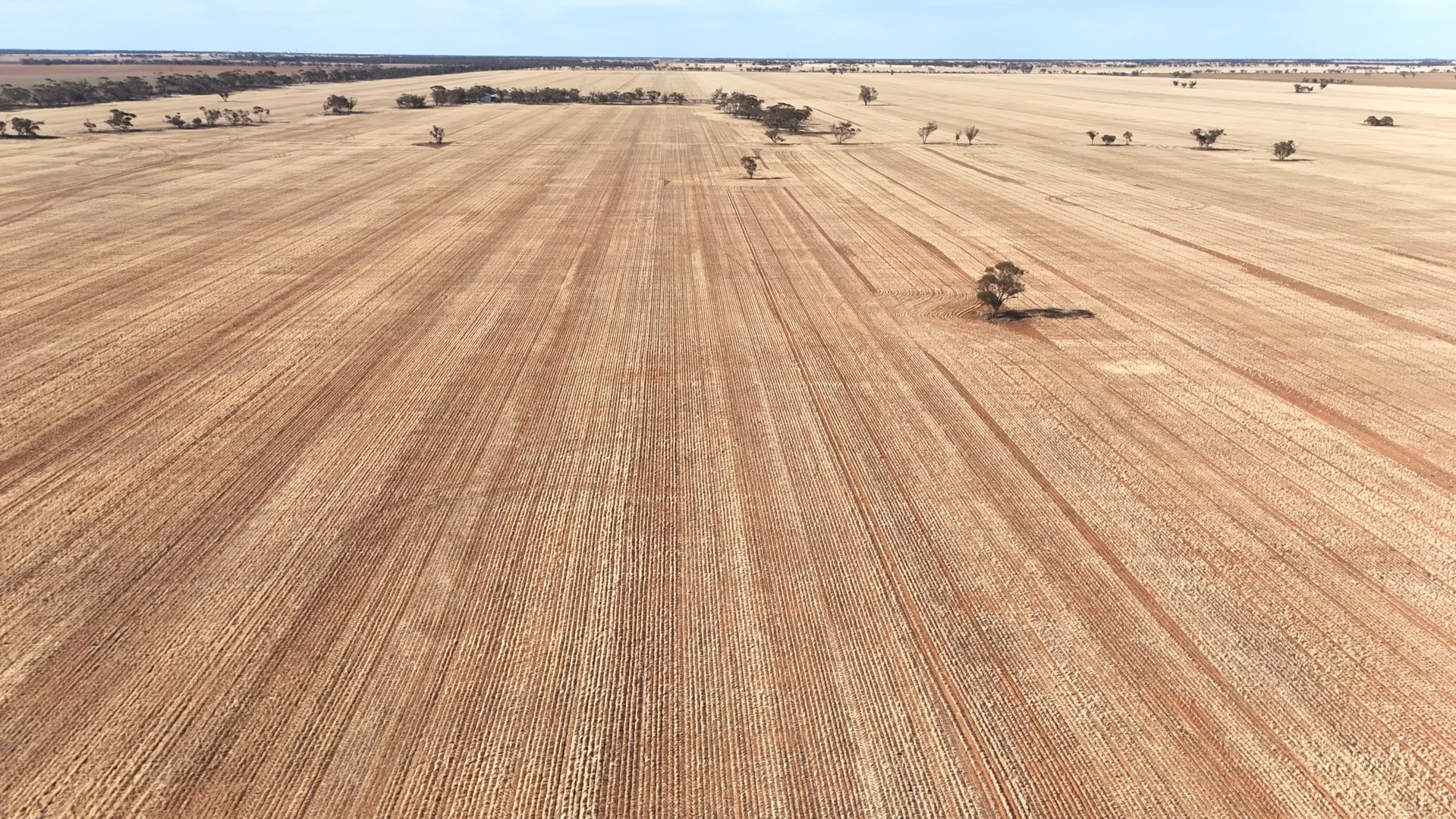 Additional image 11 of 'Anglea & Ryan Lots' 434 Robinvale-Sea Lake Road, Chinkapook VIC 3546