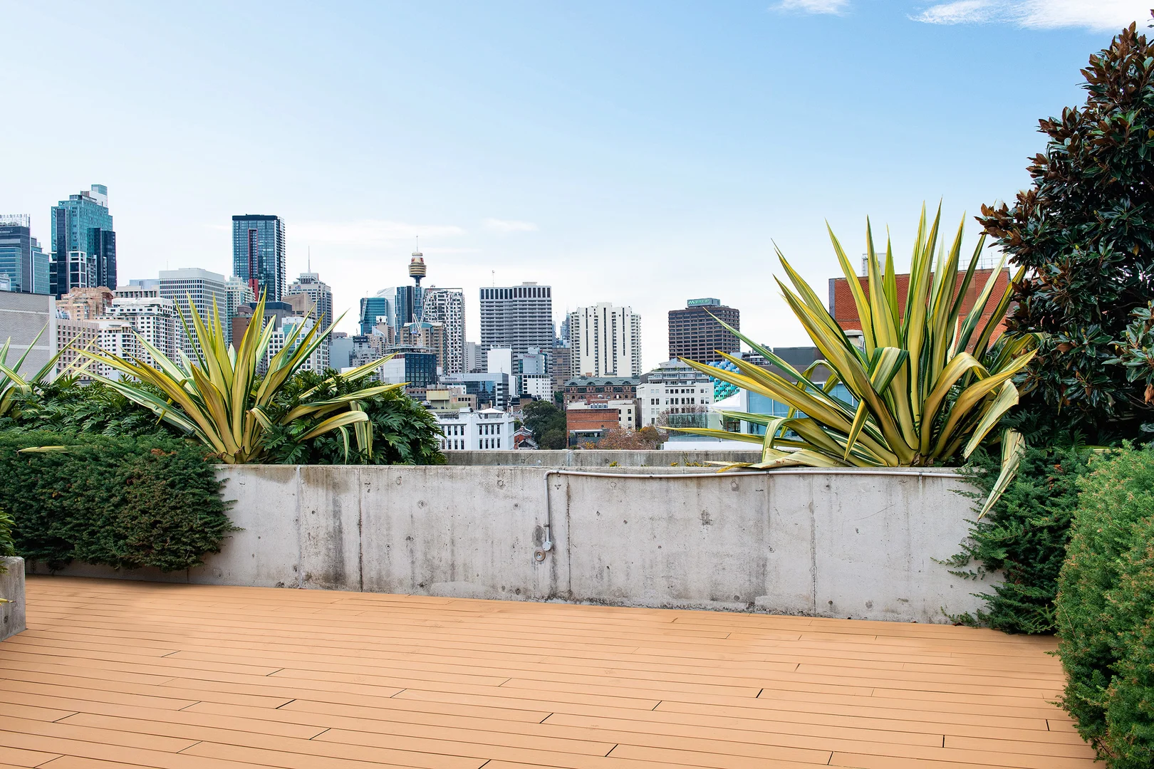 Additional image 9 of 302/81 Foveaux Street, Surry Hills NSW 2010