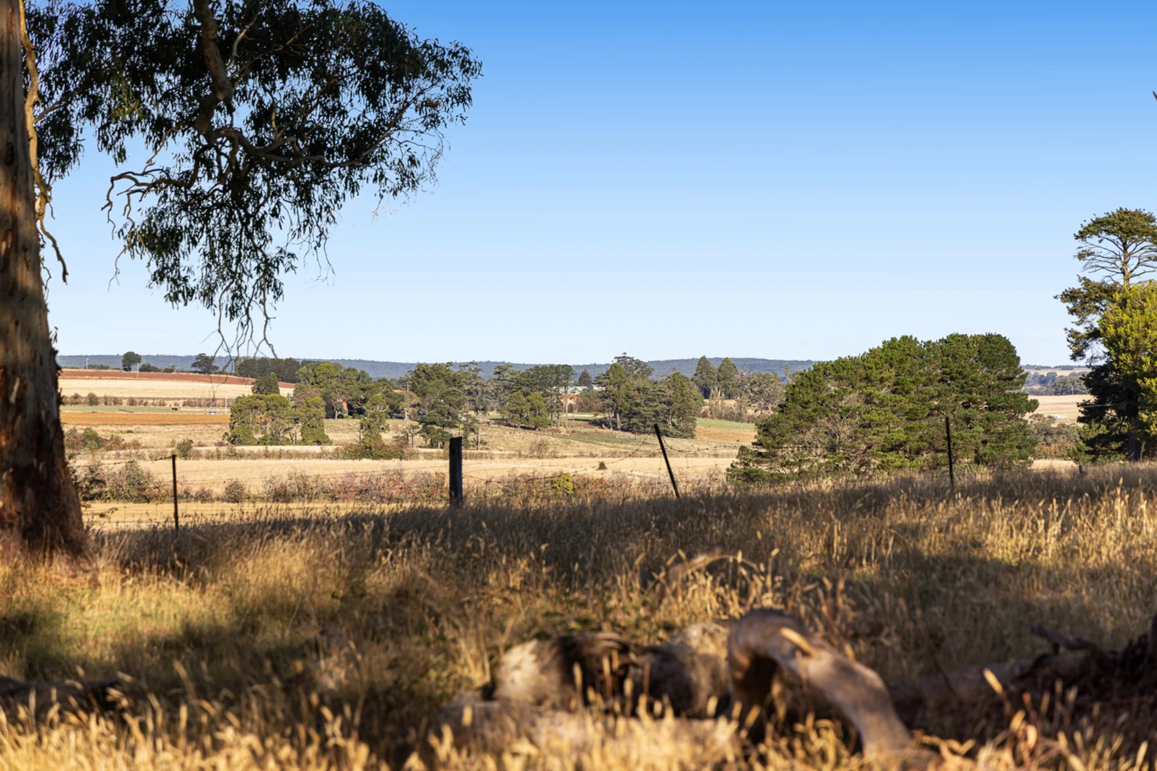 Additional image 23 of 303 Sawmill Road, Springmount VIC 3364