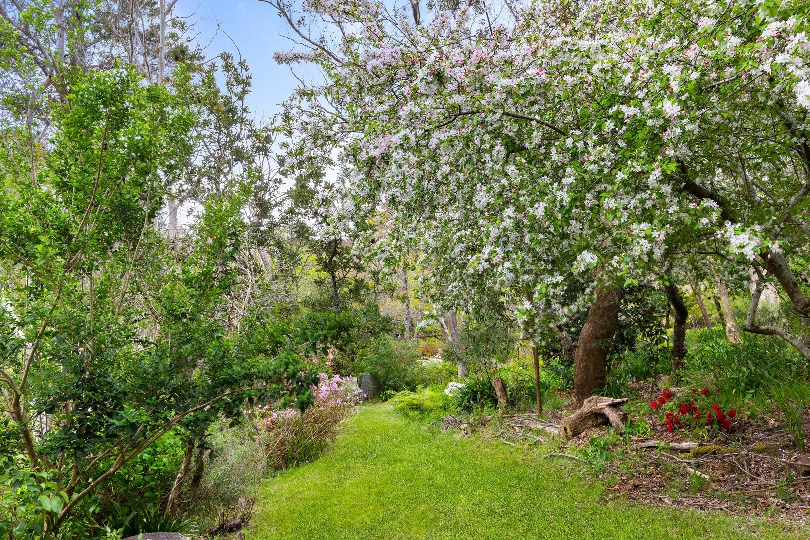 Additional image 25 of 3 Wentworth Ave, Leura NSW 2780