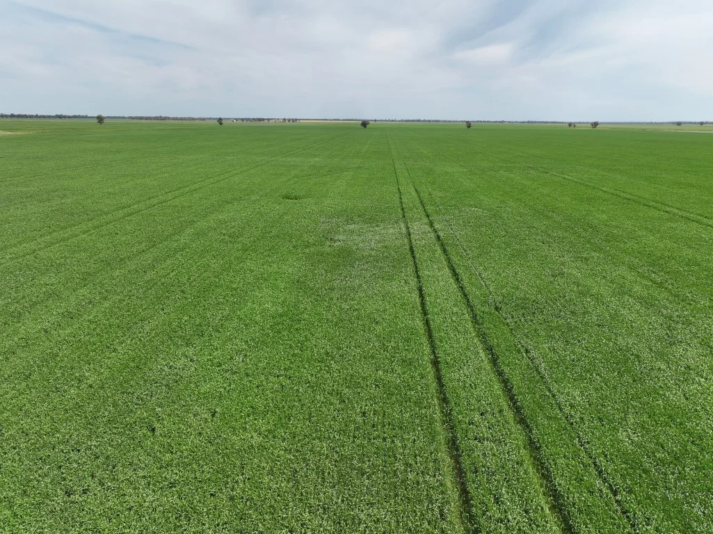 Additional image 8 of 849 Brushwood North Rd, Coolamon NSW 2701