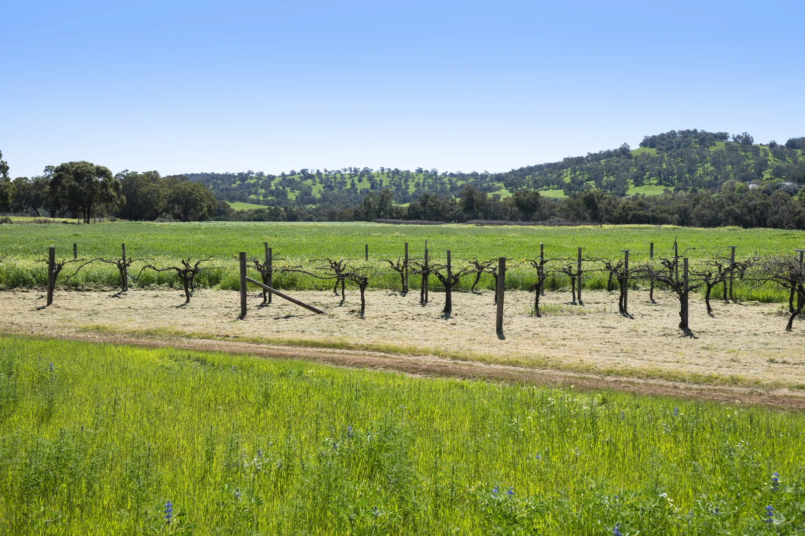 Additional image 12 of 54 Chittering Valley Road, Lower Chittering WA 6084