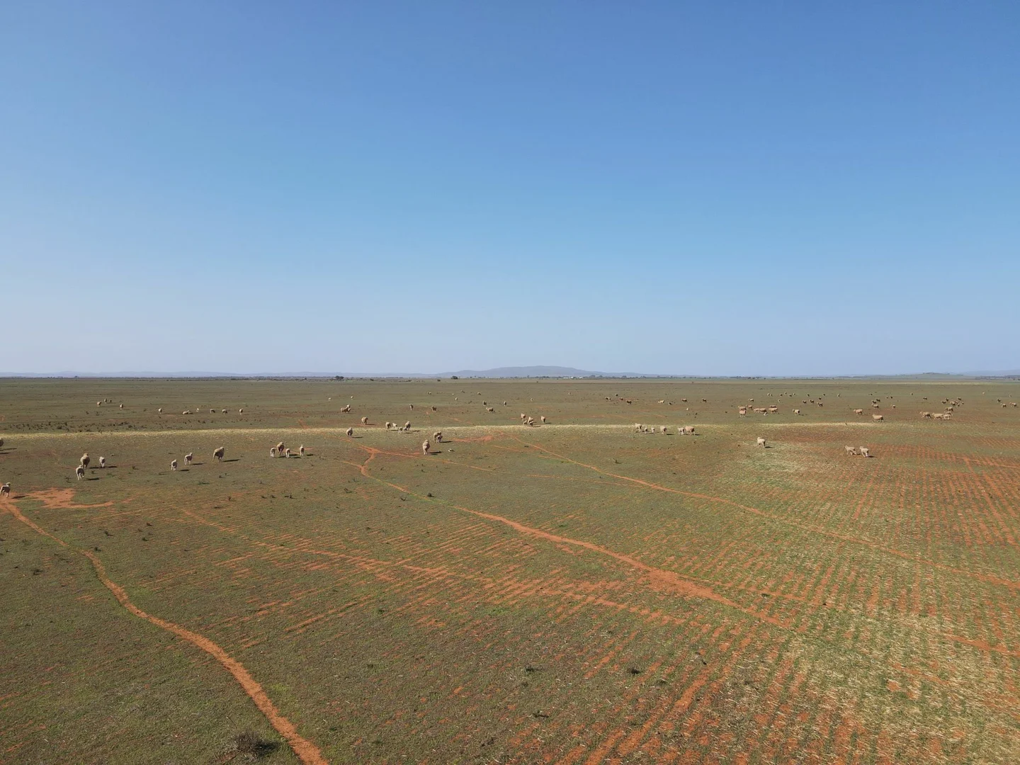 Additional image 12 of 'Daly's' Collins Road, Willowie SA 5431