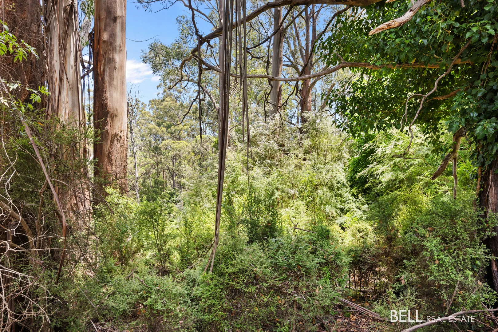 Additional image 3 of 1 Essex Street, Warburton VIC 3799