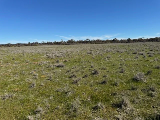 Additional image 16 of 4CA Calder Highway, Wedderburn VIC 3518