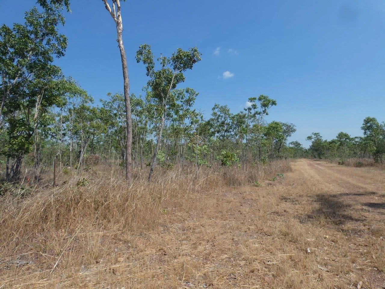 Additional image 8 of 108 Mielang Road, Blackmore NT 0822
