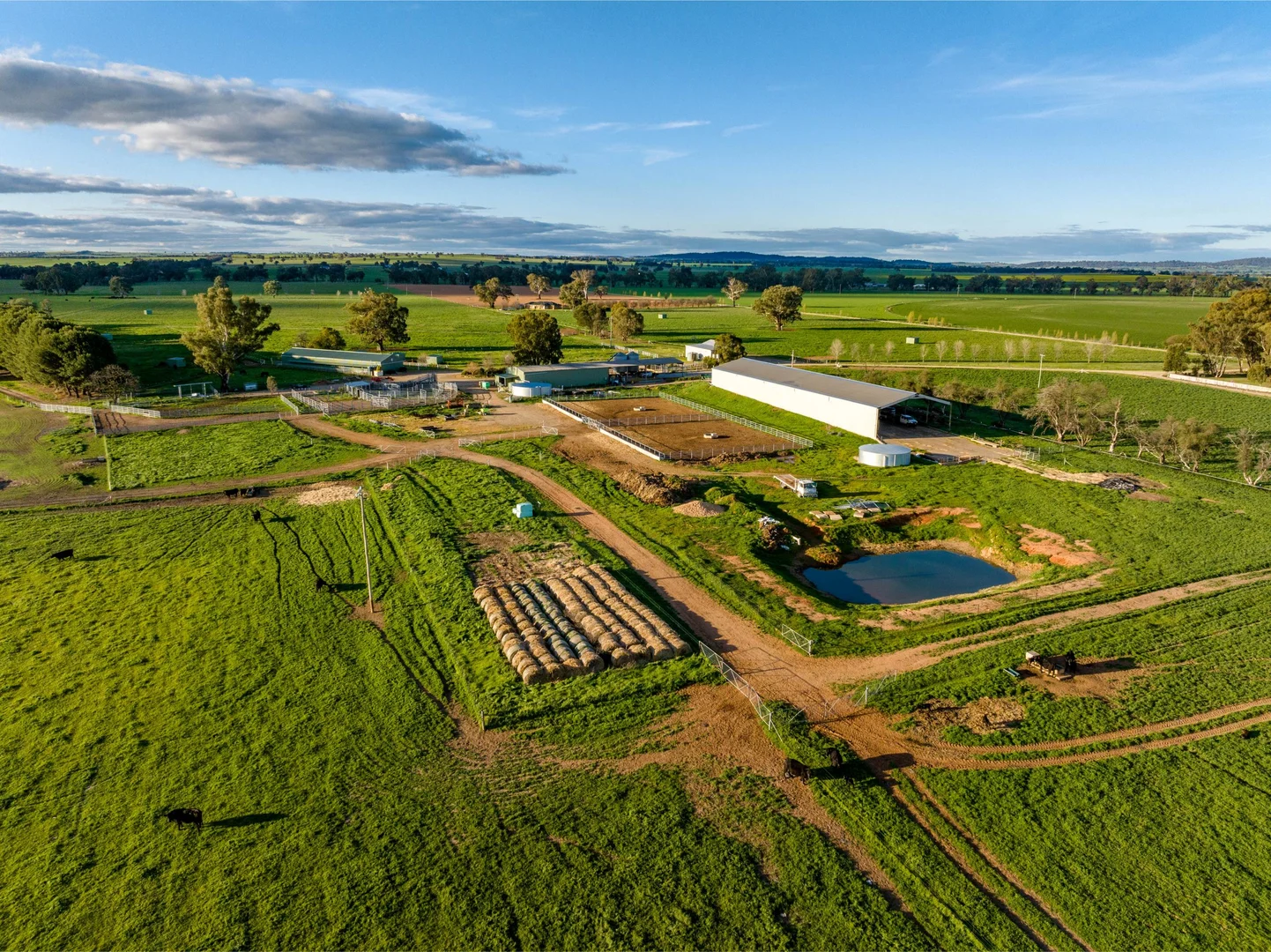Additional image 28 of 1871 Old Narrandera Road, Euberta NSW 2650