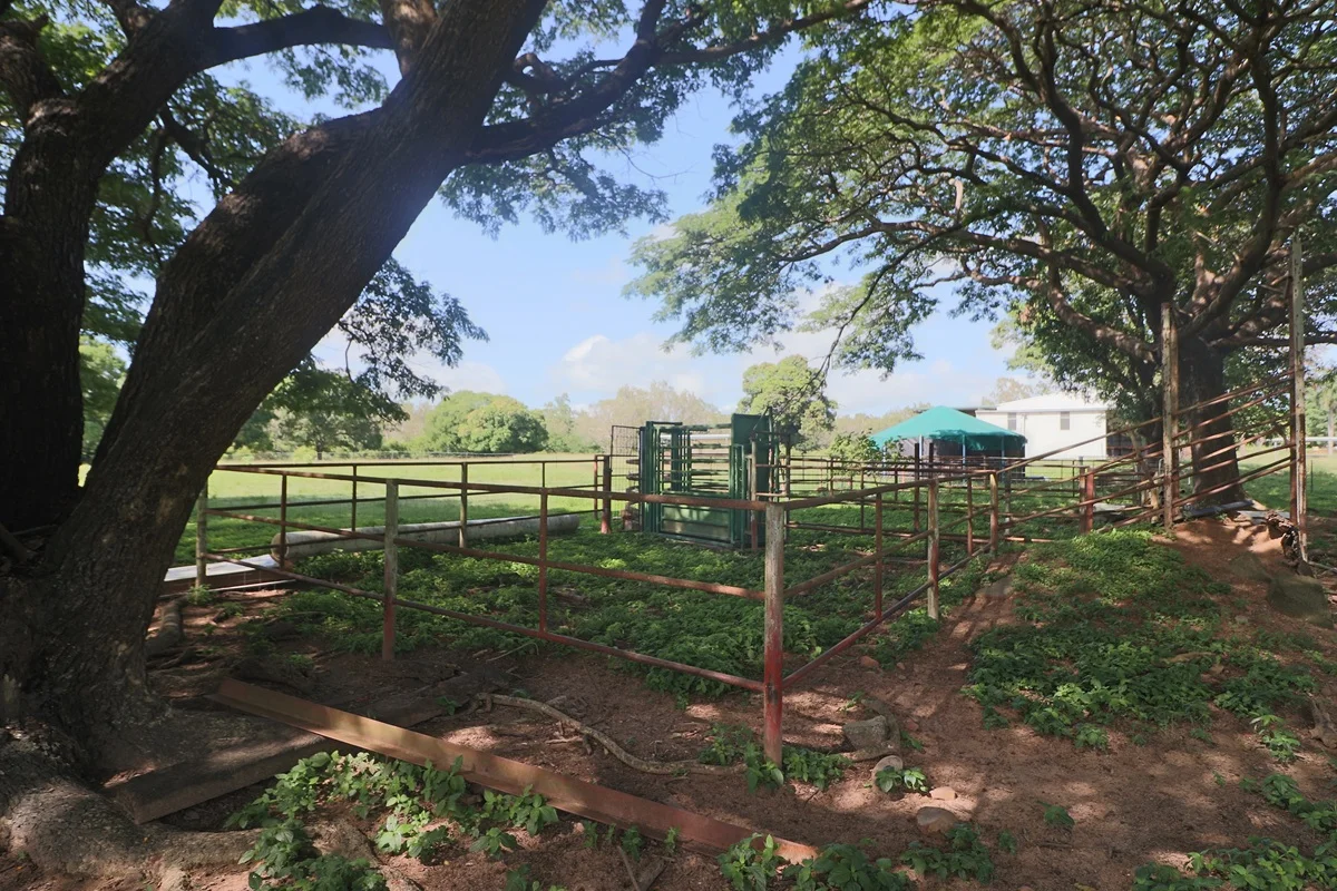 Additional image 9 of 62 Bougainville Street, Roseneath QLD 4811