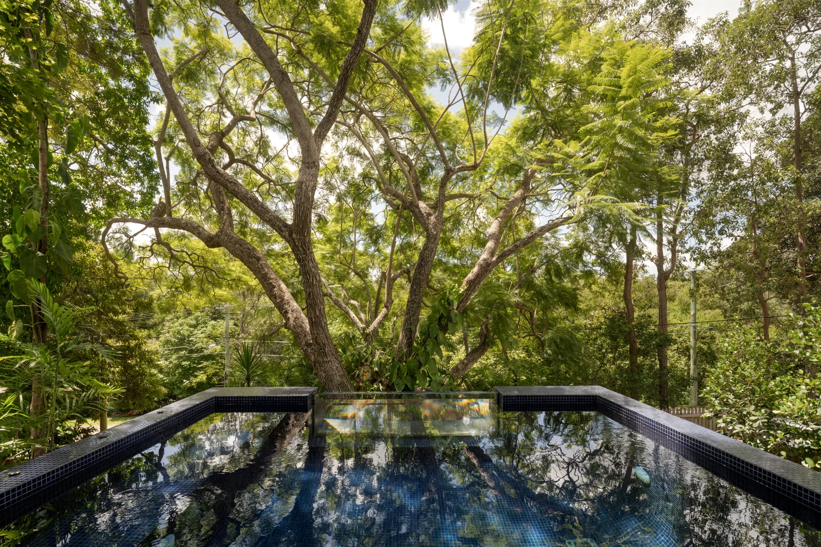 Additional image 4 of 77 School Road, The Gap QLD 4061