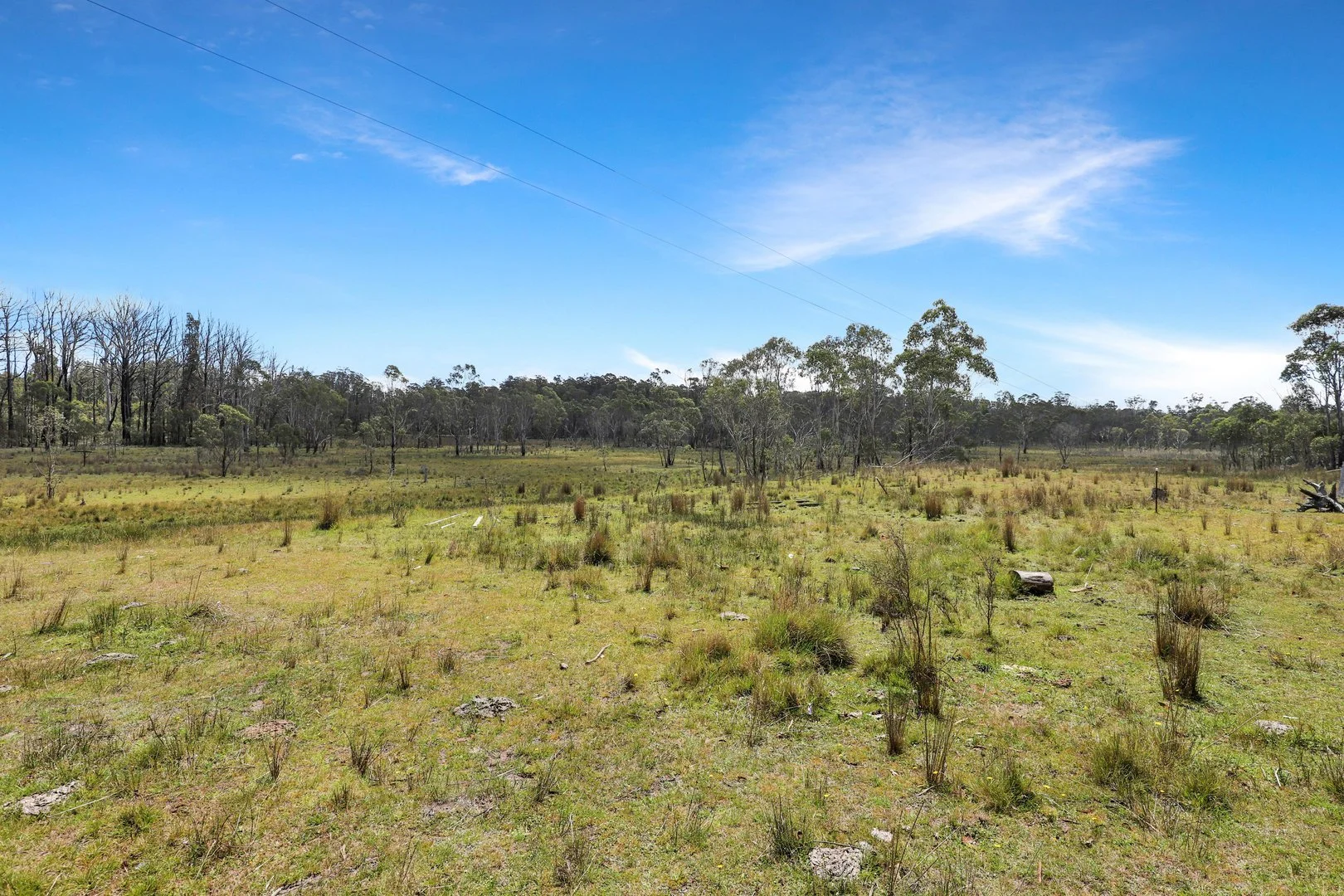 Additional image 3 of Lot 51 Tantawangalo Mountain Road, Cathcart NSW 2632
