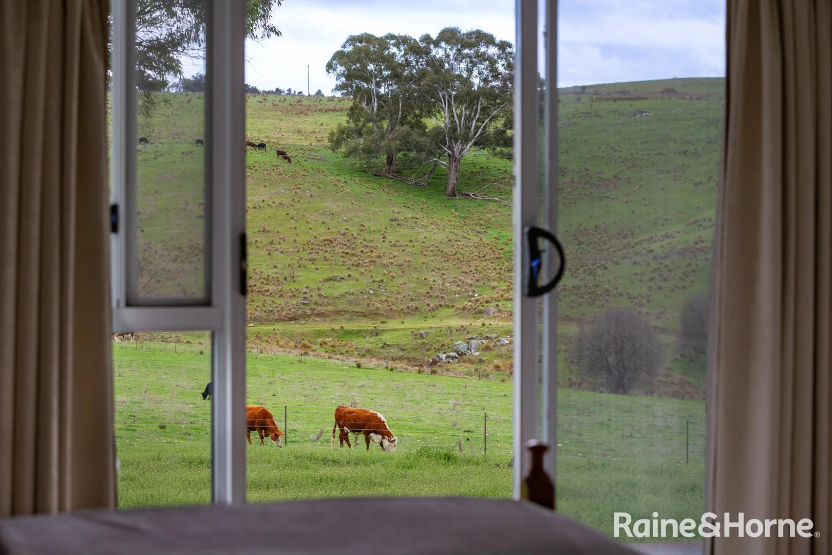 Additional image 11 of 2216 Freemantle Road, Freemantle NSW 2795