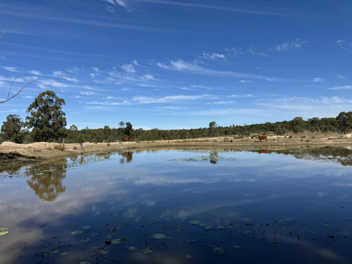Additional image 3 of 25731 Burnett Highway, Cynthia QLD 4627