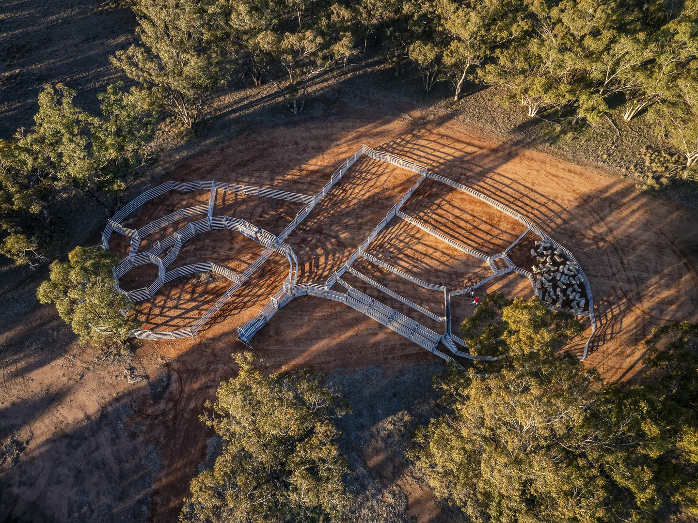 Additional image 18 of Bourbah 2598 Warren Road, Gulargambone NSW 2828