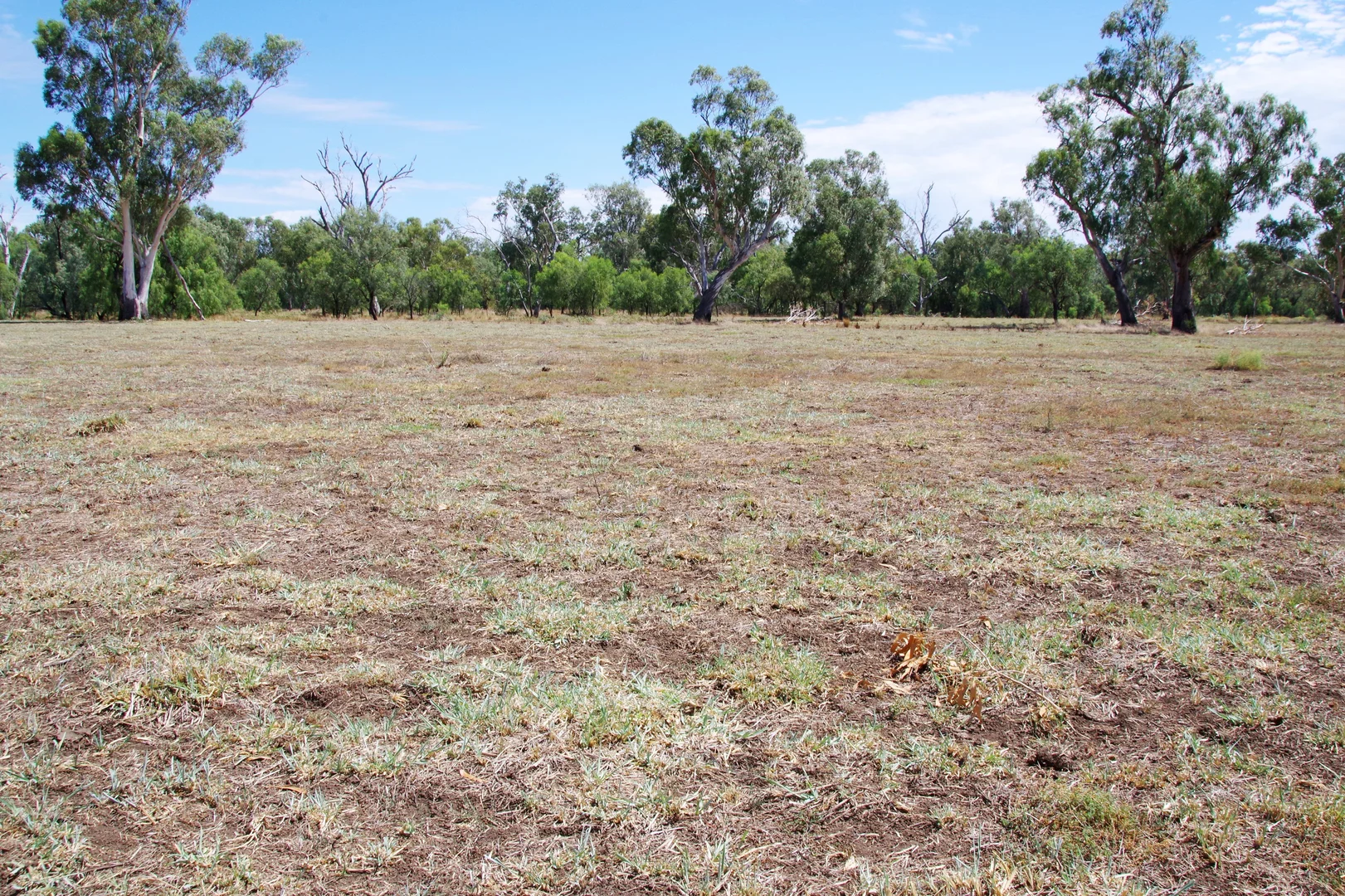 Additional image 31 of 23028 Kamilaroi Highway, Wee Waa NSW 2388