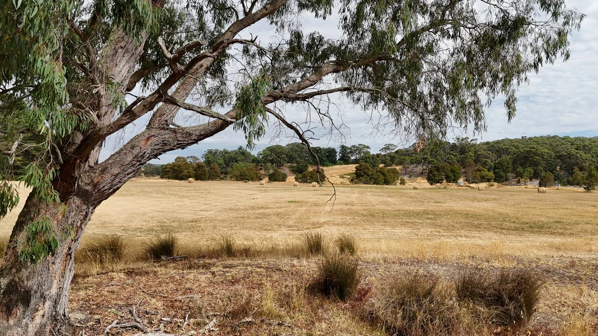 21B - E\PP2388 Staffordshire reef Road, Newtown VIC 3351