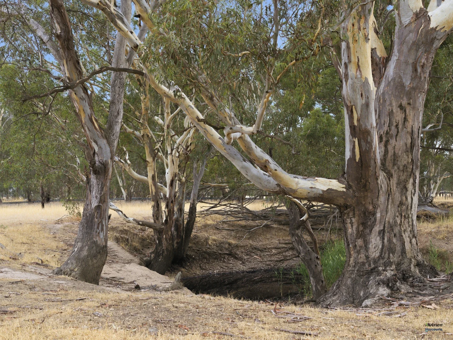Additional image 6 of Cnr Burness Rd & Four Mile Rd, Benalla VIC 3672