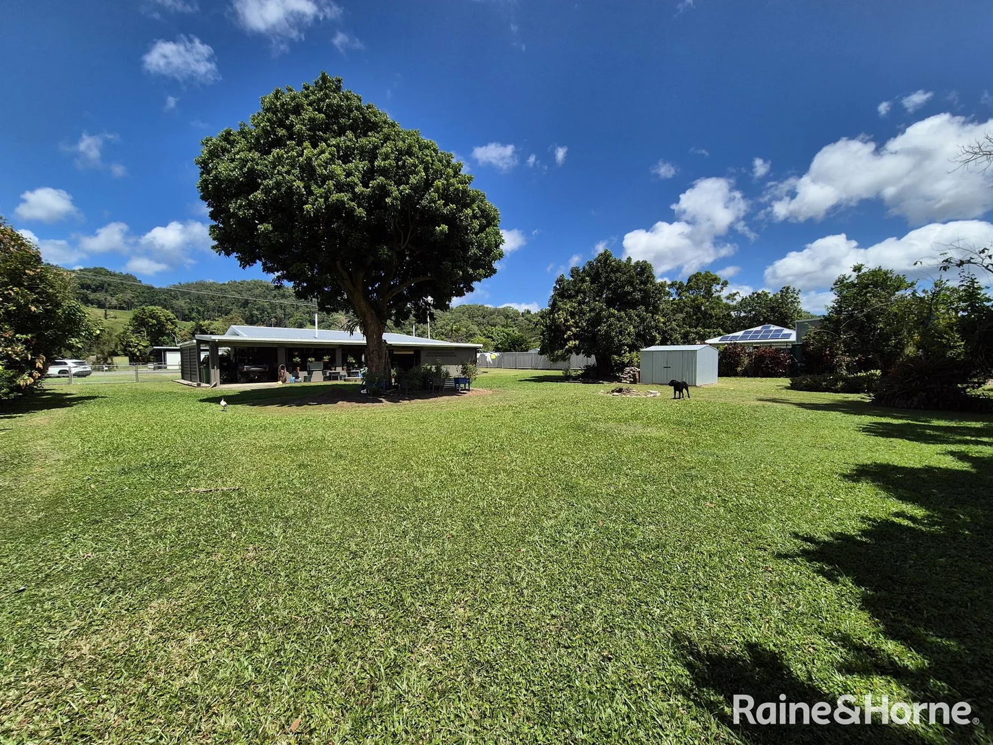 Additional image 24 of 13-15 Osborne Street, Daintree QLD 4873