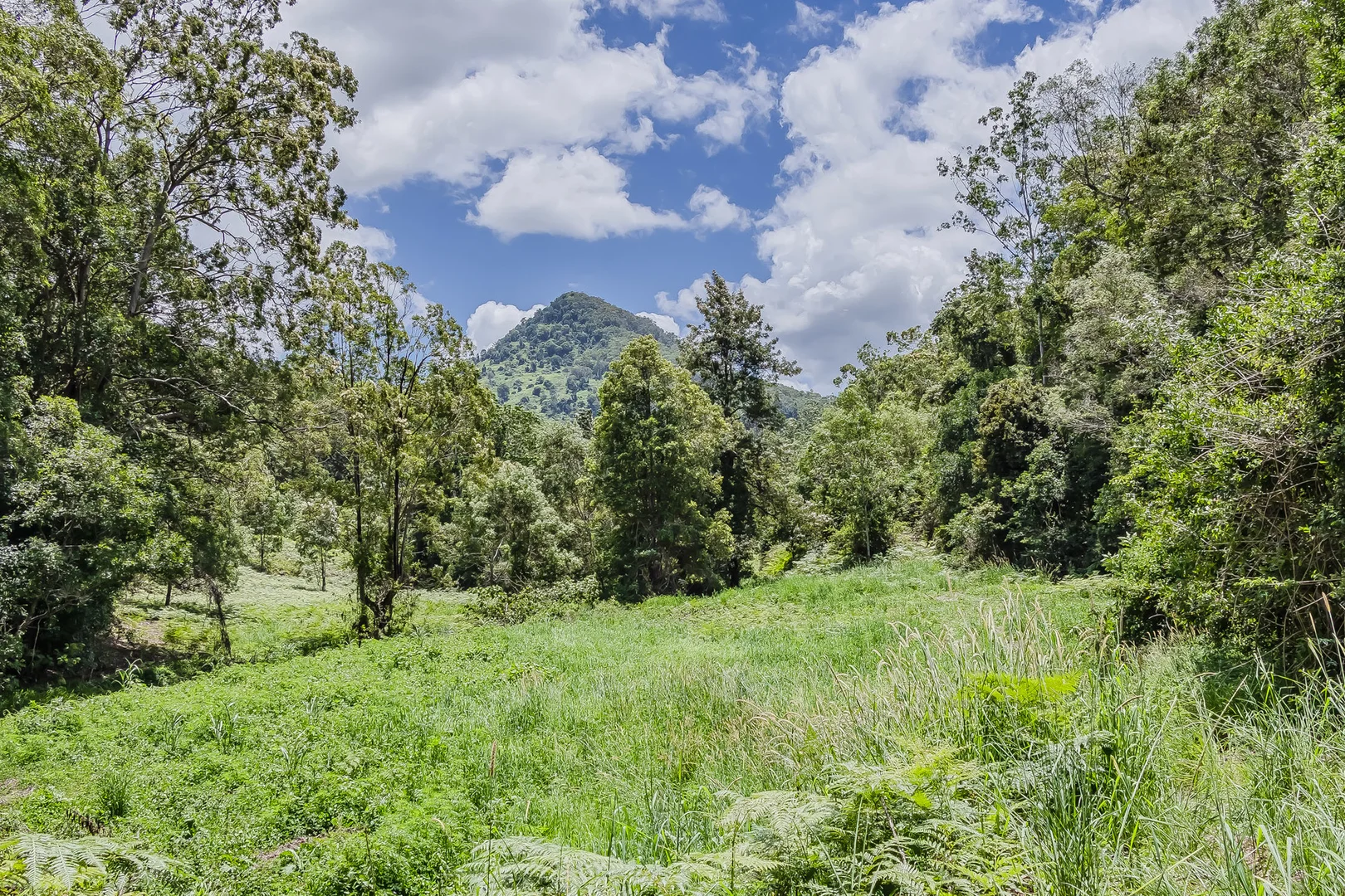 Additional image 6 of 270 Zara Road, Zara NSW 2484