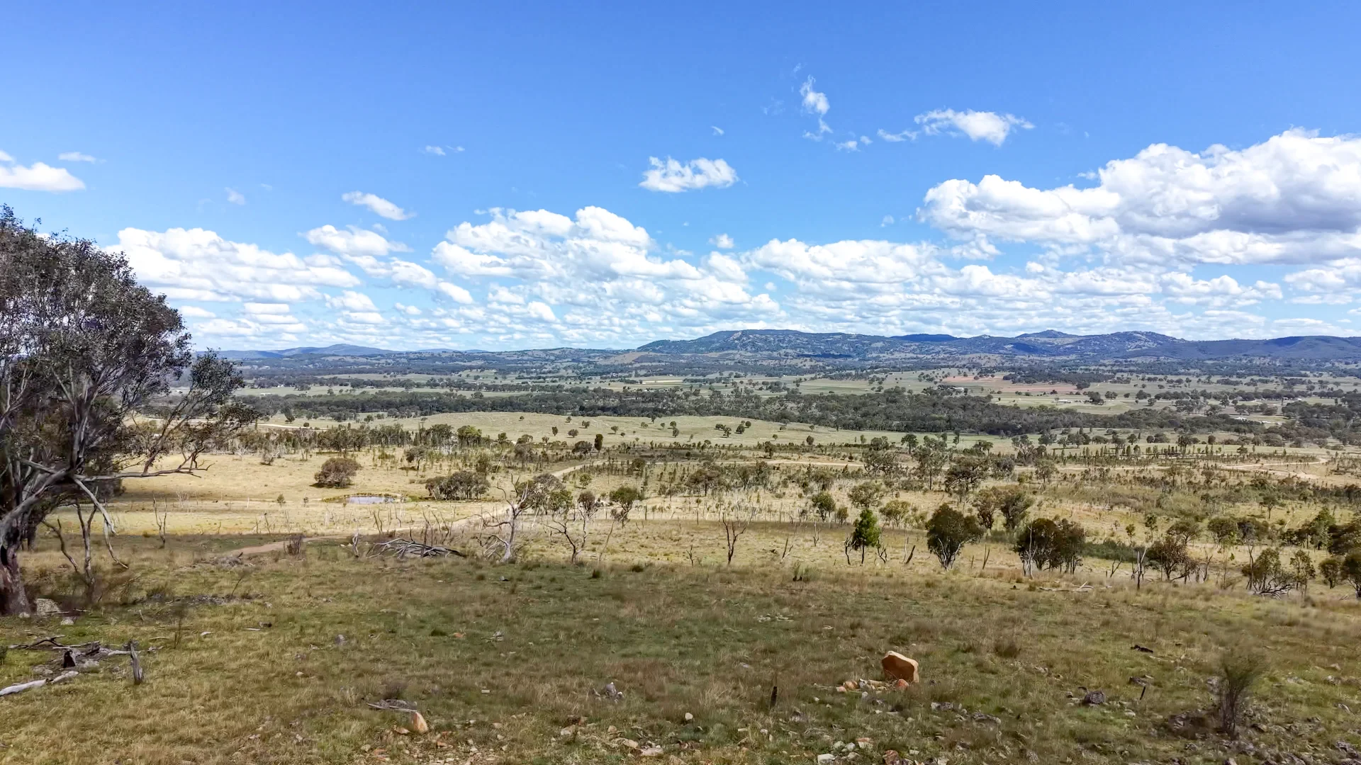 Additional image 22 of Lot 570 Tarban Road, Tenterfield NSW 2372