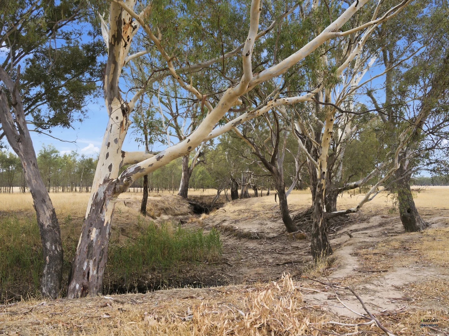 Additional image 3 of Cnr Burness Rd & Four Mile Rd, Benalla VIC 3672