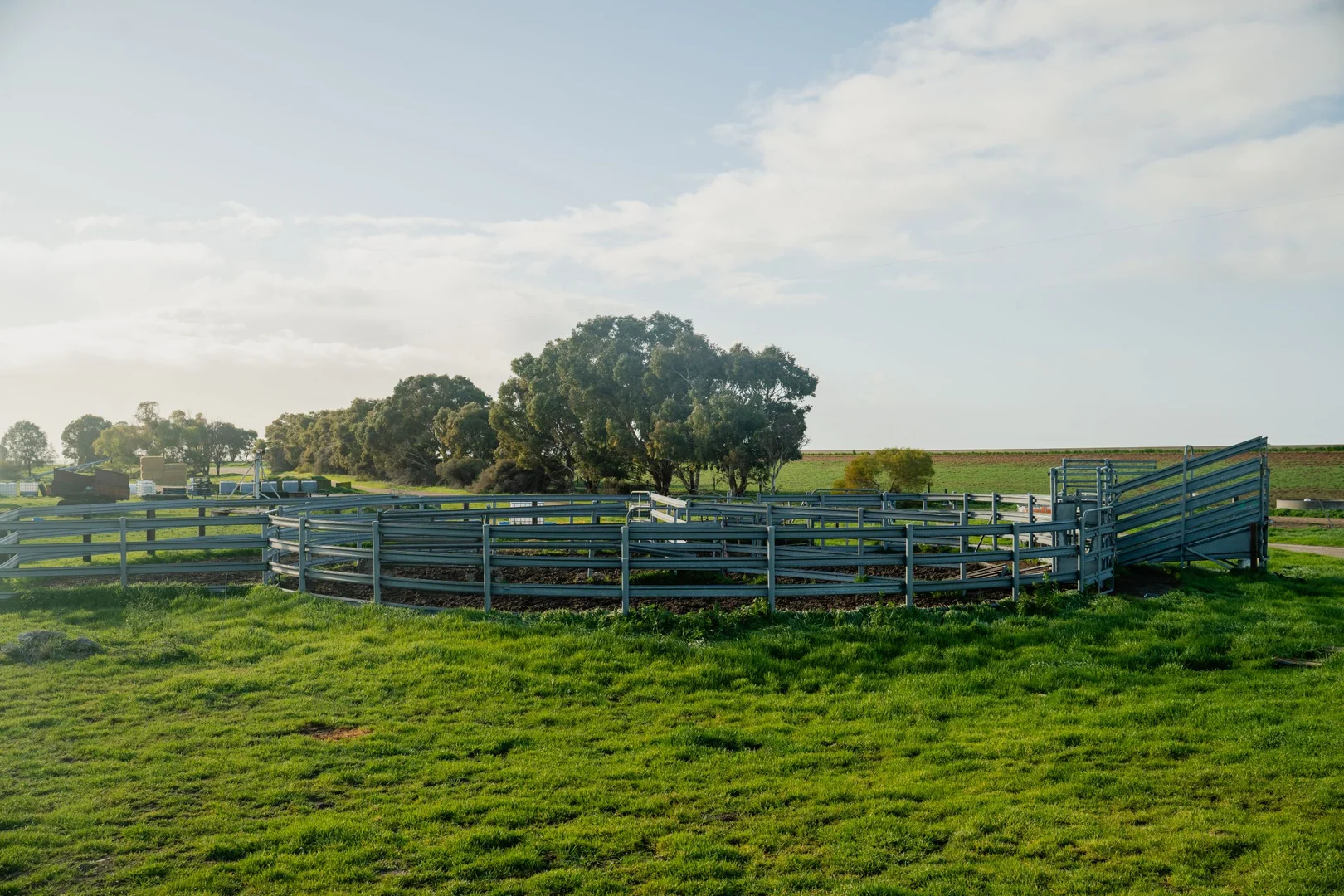 Additional image 5 of 394 Coombe Road, Tintinara SA 5266