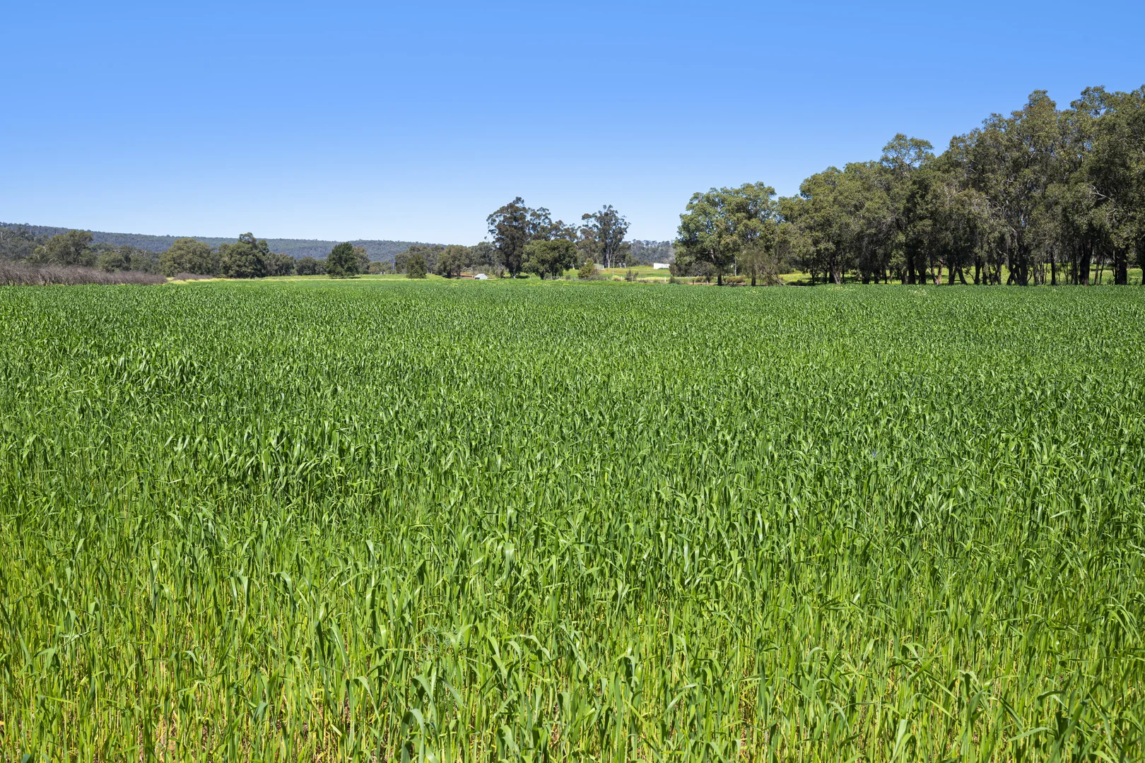 Additional image 14 of 54 Chittering Valley Road, Lower Chittering WA 6084