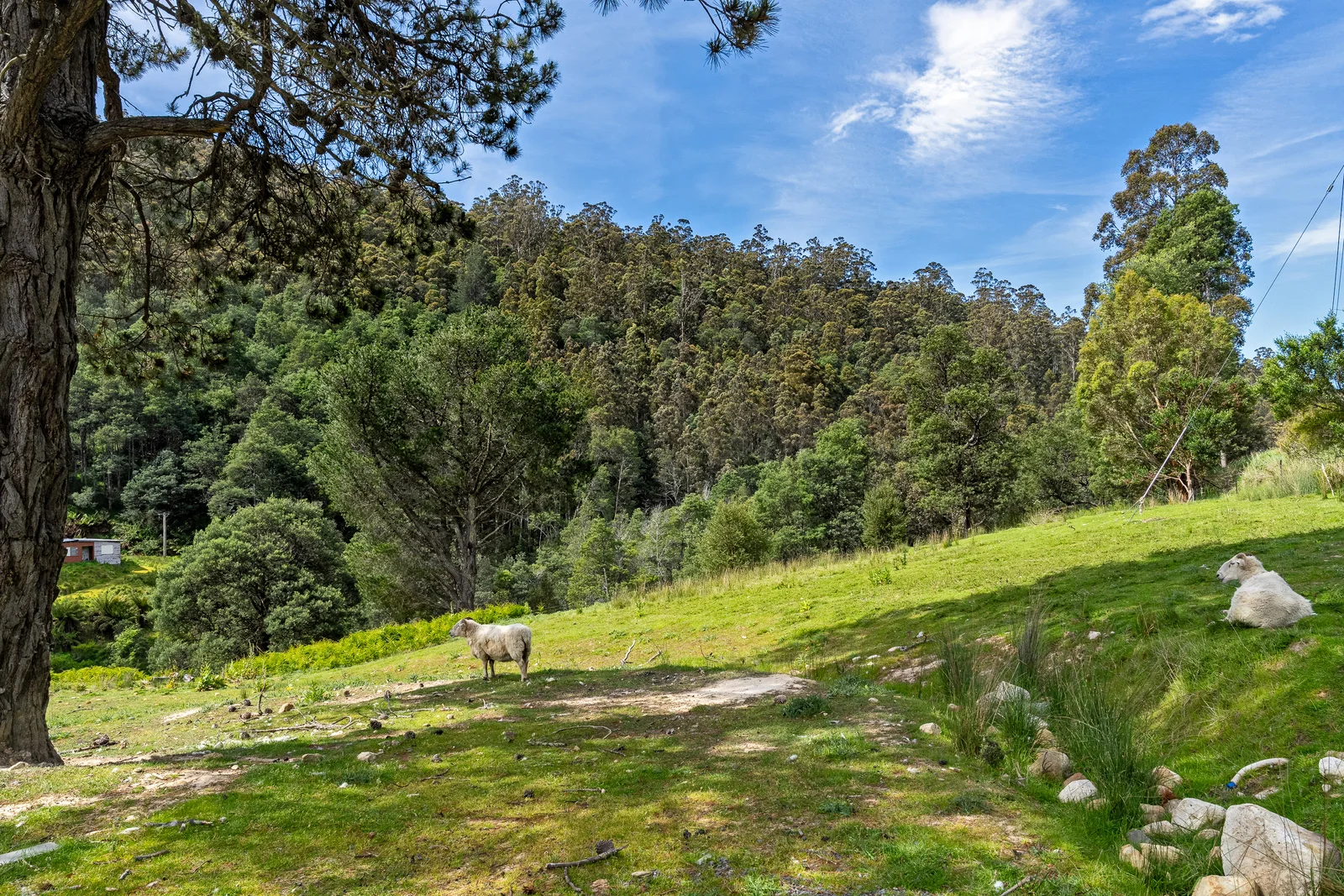 Additional image 2 of 9 Bobs Road, Oyster Cove TAS 7150