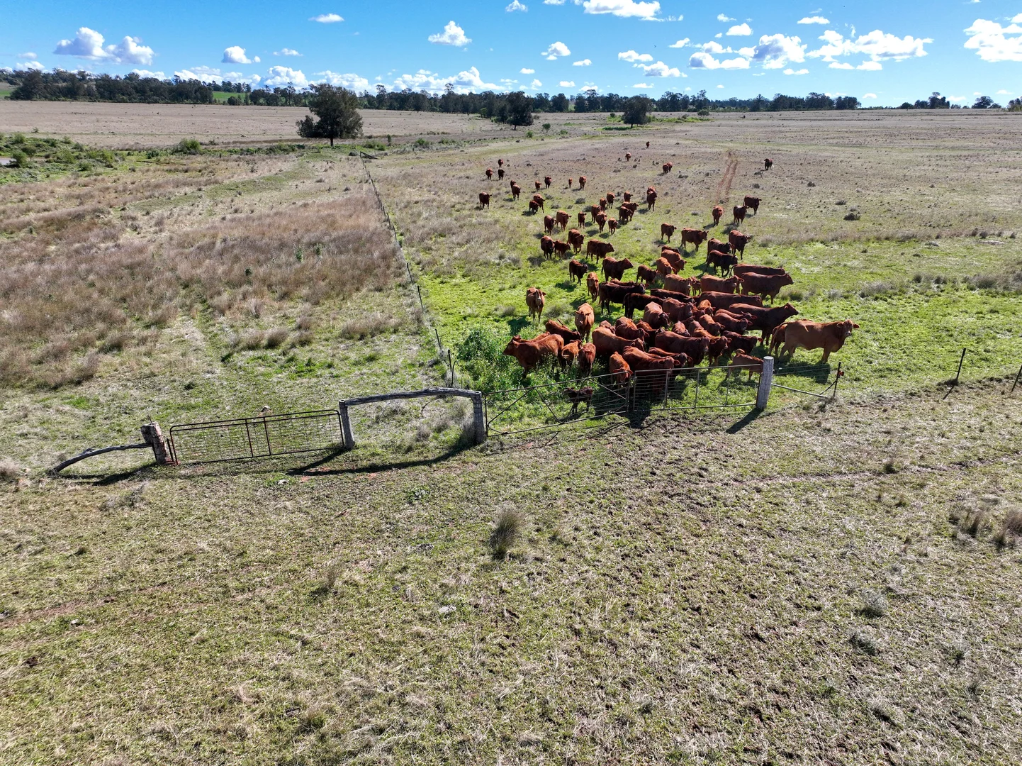 Additional image 26 of 635 Mayfield Road, Narrabri NSW 2390