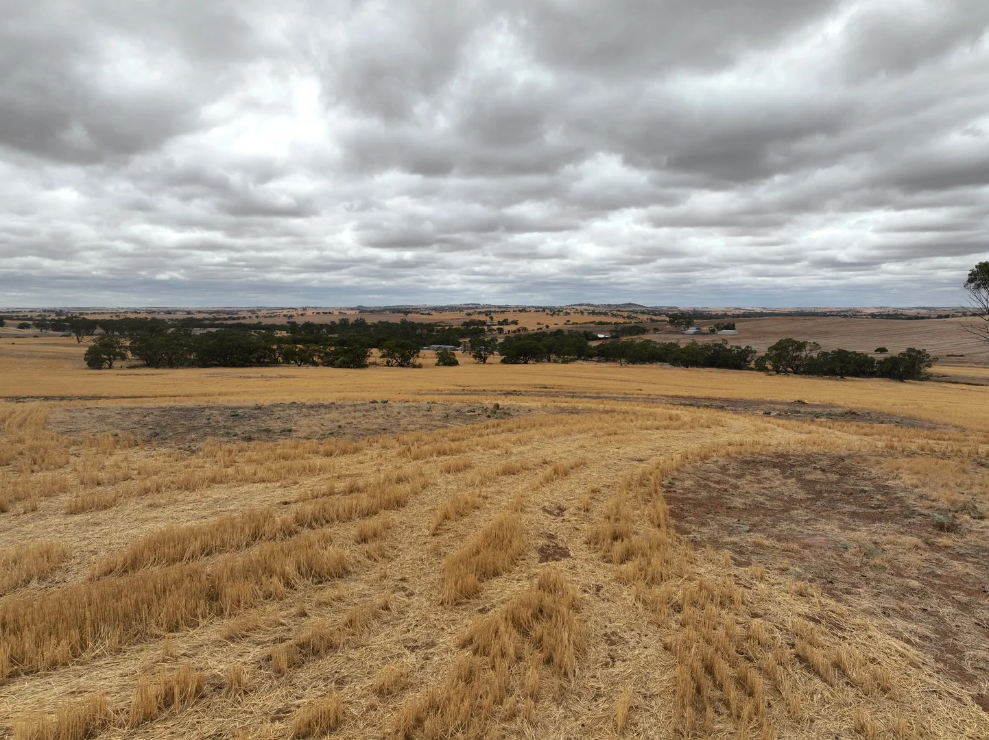 Additional image 5 of LOT/18 Irishtown Road, Buckland WA 6401