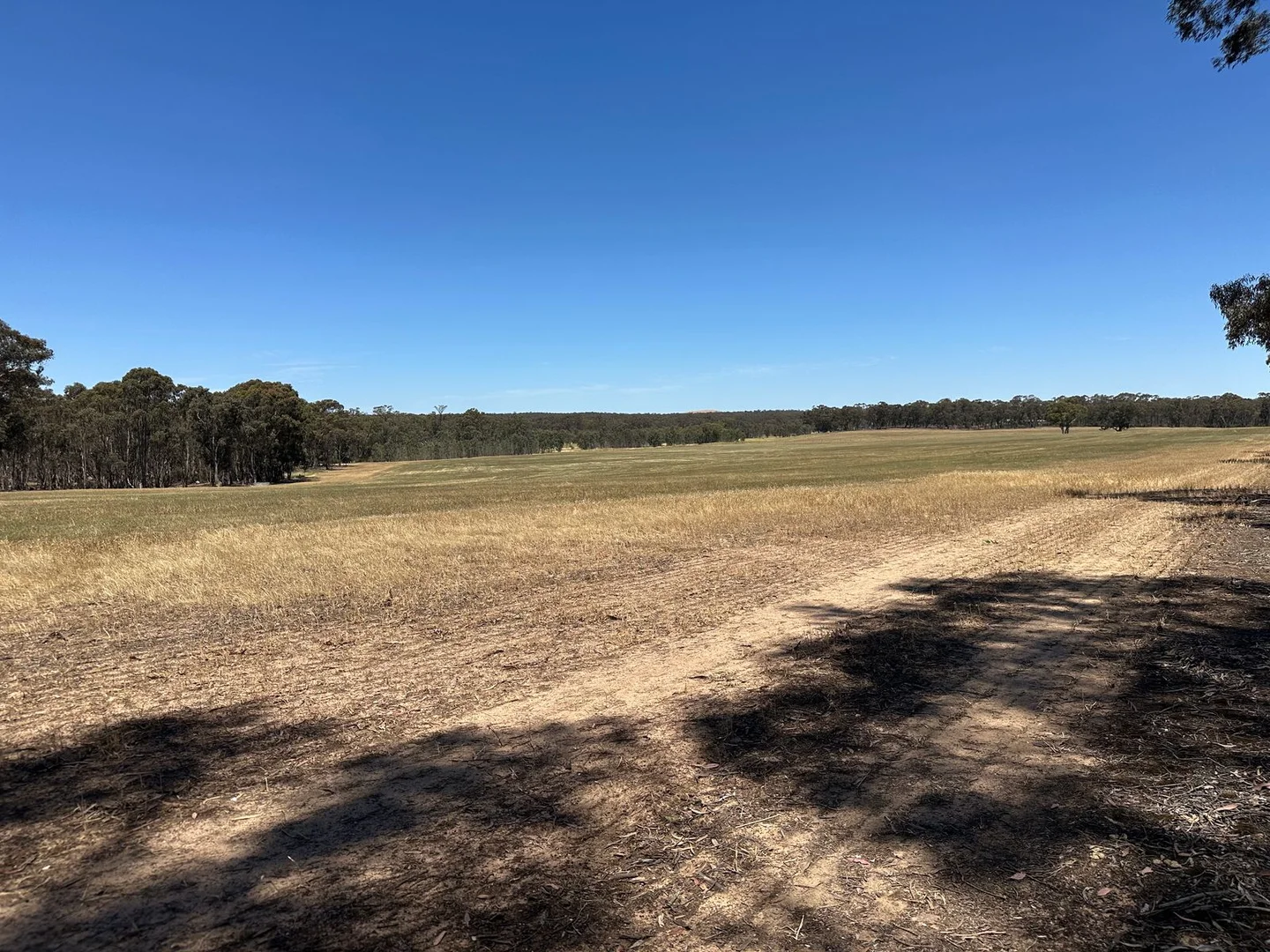 Additional image 5 of CA 57 Section 9 Deeds Road, Majorca VIC 3465