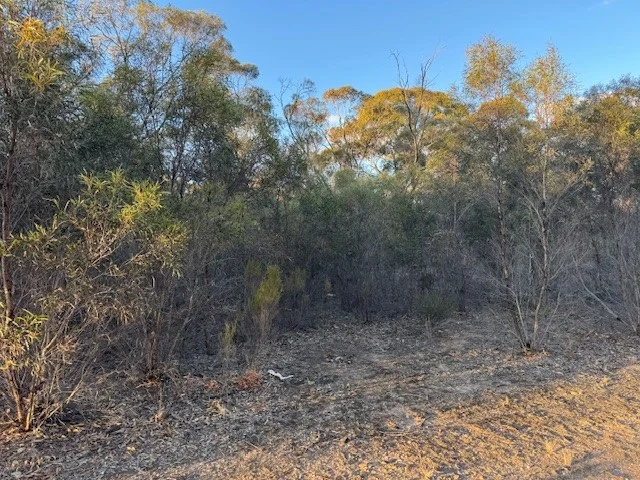 Additional image 5 of CA/24 Calder Highway, Wedderburn VIC 3518