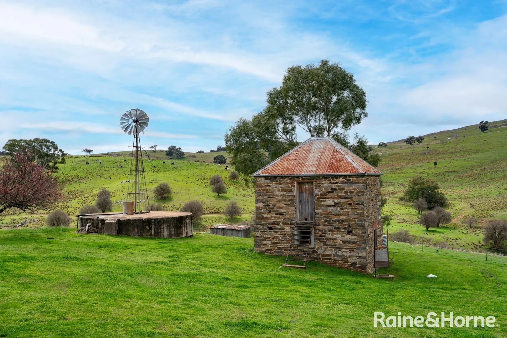 Additional image 25 of 2216 Freemantle Road, Freemantle NSW 2795