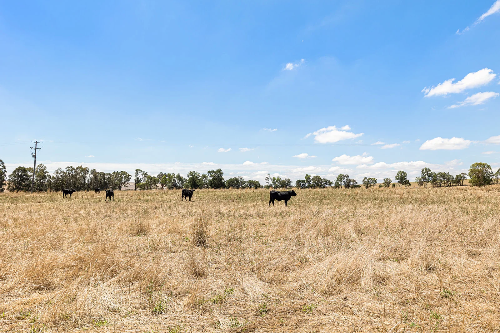 Additional image 23 of 3818 Lachlan Valley Way, Godfreys Creek NSW 2586