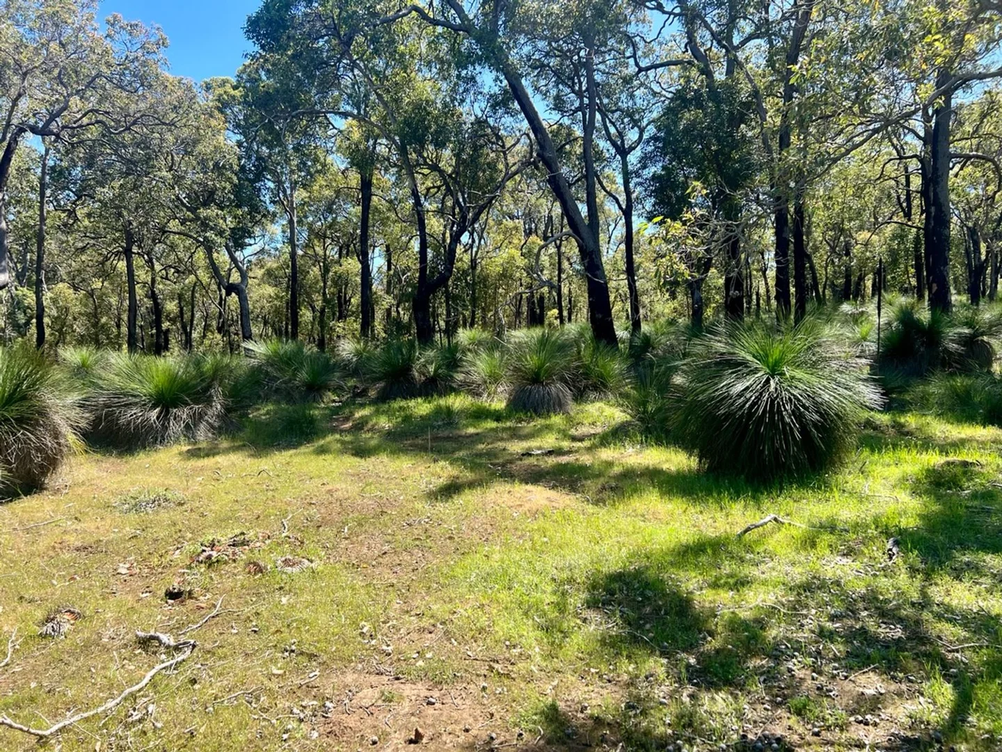 Additional image 14 of 59 Lyons Road, Waroona WA 6215